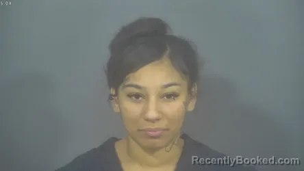 Mugshot of NATILIE ALYEESE HAYNES booked in St Joseph County, Indiana on March 20, 2026