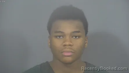 Mugshot of BRAEDON ANWON MCGHEE booked in St Joseph County, Indiana on March 21, 2026