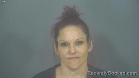 Mugshot of DAWN MARIE CLEMENS booked in St Joseph County, Indiana on March 25, 2026