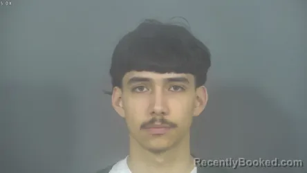 Mugshot of ALEXAVIRE ANTONIO CABRAL booked in St Joseph County, Indiana on March 26, 2026