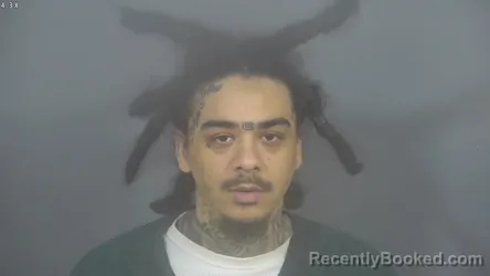 Mugshot of ZACHARIAH WAYNE BROWNIE booked in St Joseph County, Indiana on March 27, 2026