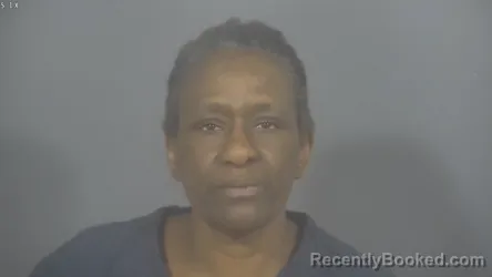 Mugshot of BRIDGET CLAUDETTE CARR booked in St Joseph County, Indiana on March 28, 2026