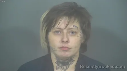 Mugshot of TYLER MARIE STAFFORD booked in St Joseph County, Indiana on March 30, 2026