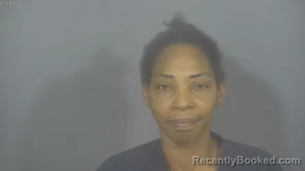 Mugshot of LAKWESHA PHINESE DAVIS-BRIDGES booked in St Joseph County, Indiana on March 30, 2026