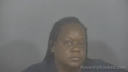 Mugshot of IRENE MONIQUE WRIGHT booked in St Joseph County, Indiana on March 31, 2026