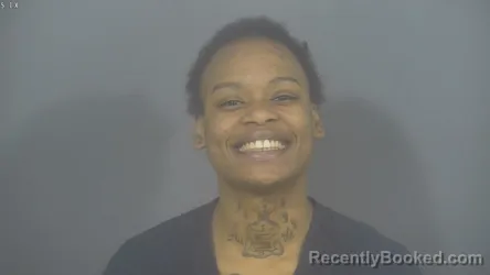 Mugshot of JAMELAH TAYLOR booked in St Joseph County, Indiana on March 31, 2026