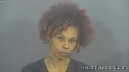 Mugshot of CLARICE LYNN BRITT booked in St Joseph County, Indiana on April 1, 2026