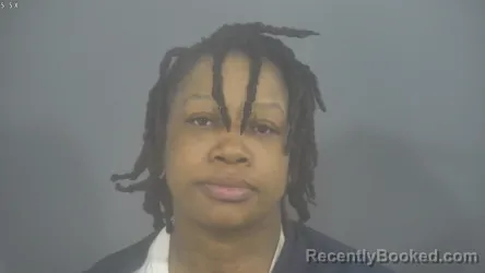 Mugshot of CHELSEA NICOLE ROBINSON booked in St Joseph County, Indiana on April 27, 2026