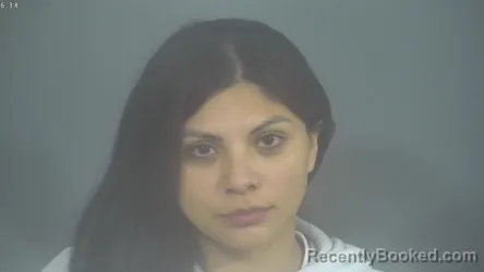Mugshot of BRISEDA LISABET GONZALEZ booked in St Joseph County, Indiana on May 8, 2026