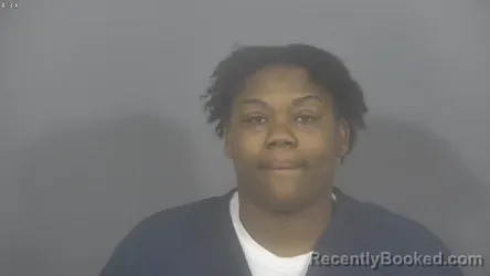 Mugshot of ERICA LOVE YOUNG booked in St Joseph County, Indiana on May 15, 2026