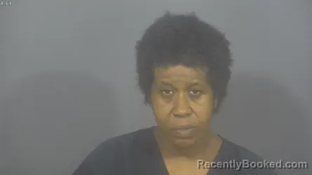 Mugshot of TASHA ANN SUBILI booked in St Joseph County, Indiana on May 19, 2026