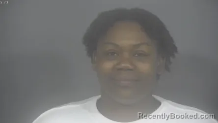Mugshot of ERICA LOVE YOUNG booked in St Joseph County, Indiana on May 29, 2026