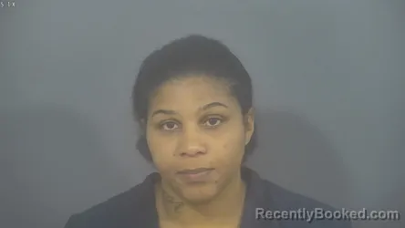 Mugshot of RACHAEL ANN ROBINSON booked in St Joseph County, Indiana on May 29, 2026
