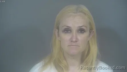 Mugshot of MEGAN MARIE DEVREESE booked in St Joseph County, Indiana on June 2, 2026