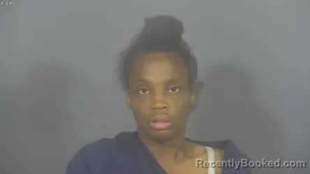 Mugshot of MARCEY RENE BROWN booked in St Joseph County, Indiana on June 4, 2026