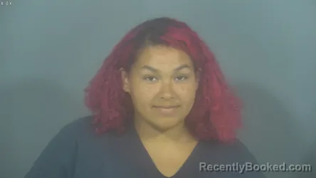 Mugshot of KAYLA MARIE MITCHELL booked in St Joseph County, Indiana on June 26, 2026