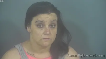 Mugshot of NICOLE MARIE PERKINS booked in St Joseph County, Indiana on July 1, 2026