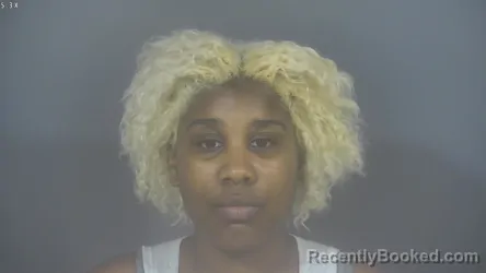 Mugshot of NARIANA D WILLIAMS booked in St Joseph County, Indiana on July 2, 2026