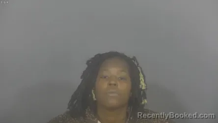 Mugshot of RAVEN SYMONE ANDERSON booked in St Joseph County, Indiana on July 2, 2026