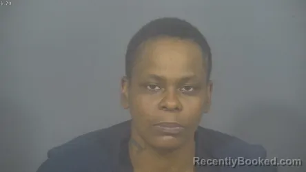 Mugshot of NORMA RAE WASHINGTON booked in St Joseph County, Indiana on July 3, 2026