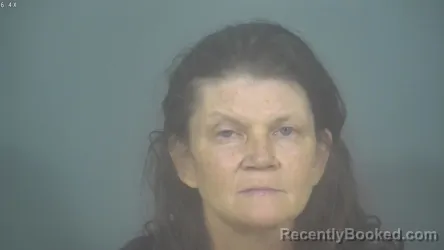Mugshot of ANNETTE M FARLER booked in St Joseph County, Indiana on July 5, 2026