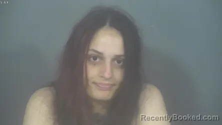 Mugshot of MEGAN ANNE RAMIREZ booked in St Joseph County, Indiana on July 7, 2026