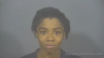 Mugshot of DOMINIQUE UNIQUE SMALLWOOD booked in St Joseph County, Indiana on July 8, 2026