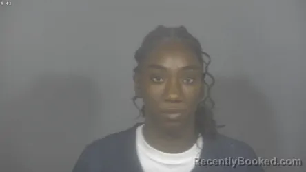 Mugshot of JAILYN RASHAY WILLIAMS booked in St Joseph County, Indiana on July 9, 2026