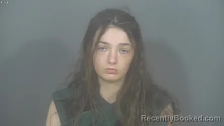 Booking photo from St Joseph County, Indiana