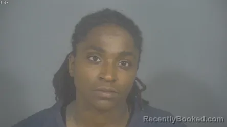 Mugshot of ERICA LASHANDA MCCULLUM booked in St Joseph County, Indiana on July 11, 2026