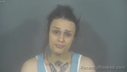 Mugshot of MEGAN ANNE RAMIREZ booked in St Joseph County, Indiana on July 17, 2026
