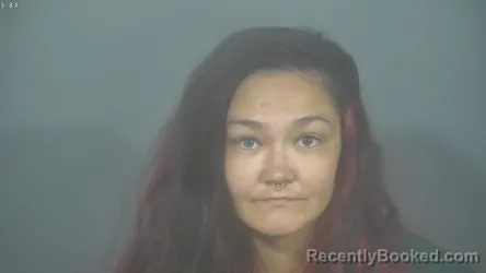 Mugshot of DEANNA IRIS TRINETTE BABCOCK booked in St Joseph County, Indiana on July 19, 2026