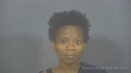 Mugshot of LAYLA PRINCESS NEWSOME booked in St Joseph County, Indiana on July 20, 2026
