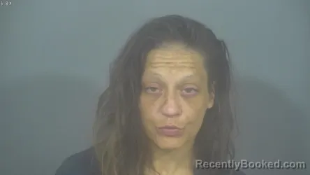 Mugshot of SONYA IRENE BROOK booked in St Joseph County, Indiana on July 22, 2026