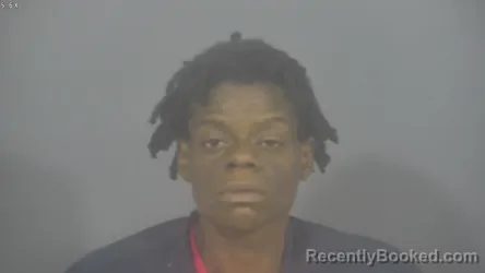 Mugshot of DANIELLE ALEXIS WILLIAMS booked in St Joseph County, Indiana on July 23, 2026