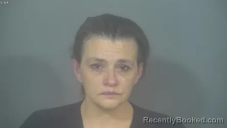 Mugshot of DENISE JON HAGGERTY booked in St Joseph County, Indiana on July 24, 2026