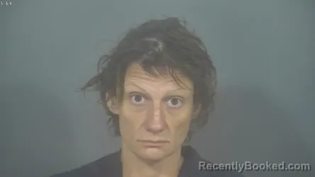 Mugshot of JESSICA MARIE JOHNSON booked in St Joseph County, Indiana on August 5, 2026