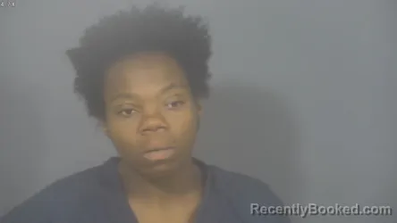 Mugshot of Destiney Marie Mason booked in St Joseph County, Indiana on August 11, 2026