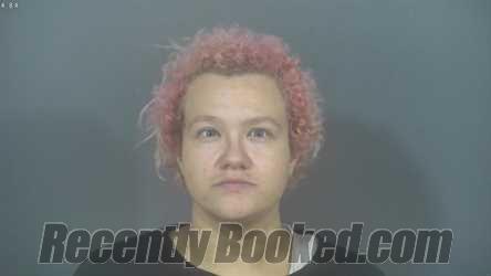 Booking photo from St Joseph County, Indiana