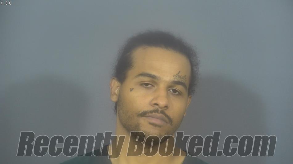 Booking photo from St Joseph County, Indiana