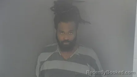 Mugshot of CHESTER DEMOND IRONS