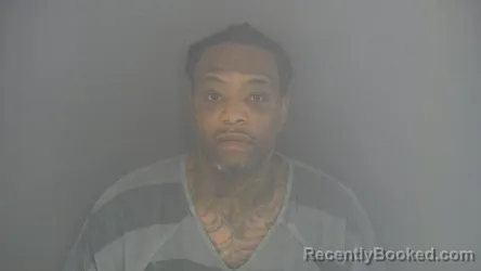 Mugshot of DION STEVEN PALMER