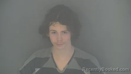 Mugshot of JEREMY LEMEN booked in Shelby County, Indiana on April 1, 2026