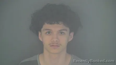 Mugshot of LIAM ERIN SHERWOOD