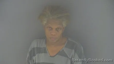 Mugshot of LATOSHA ANN WILSON