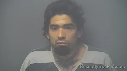 Mugshot of Roman Jr Perez booked in Shelby County, Indiana on August 13, 2026