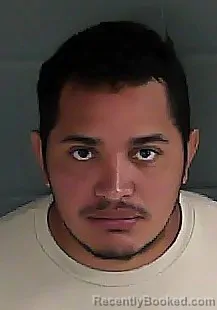 Mugshot of DARWIN MISAEL RIVERA VELIZ