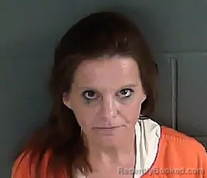 Mugshot of ROBIN MICHELLE JAMES
