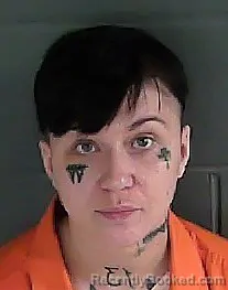 Mugshot of ANDRIA ELIZABETH SPARKS