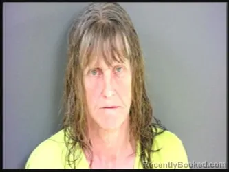 Mugshot of KELLY J OWENS booked in Starke County, Indiana on April 15, 2026